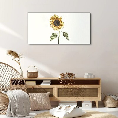 Tablou canvas Floare de floarea soarelui pe fundal alb