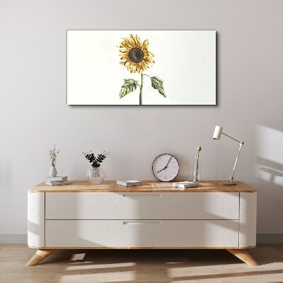 Tablou canvas Floare de floarea soarelui pe fundal alb