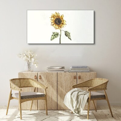 Tablou canvas Floare de floarea soarelui pe fundal alb