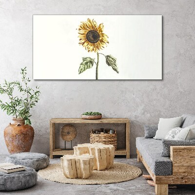 Tablou canvas Floare de floarea soarelui pe fundal alb