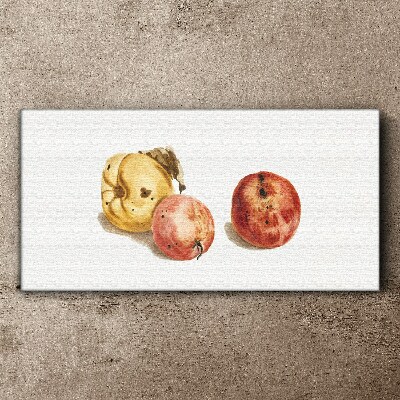 Tablou canvas Fructe de mere