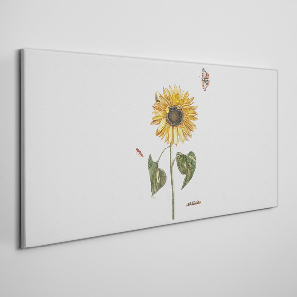Tablou canvas Floarea soarelui intr-o compozitie delicata