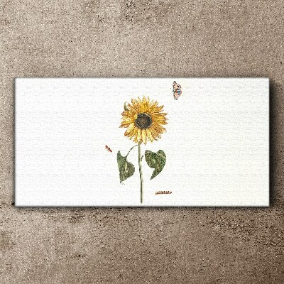 Tablou canvas Floarea soarelui intr-o compozitie delicata