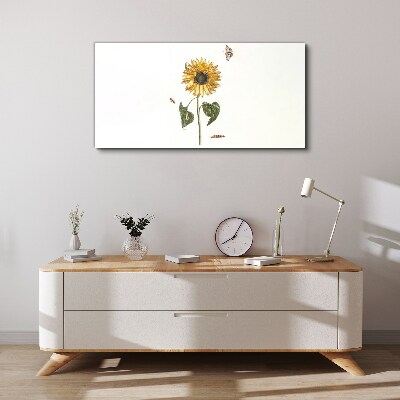 Tablou canvas Floarea soarelui intr-o compozitie delicata