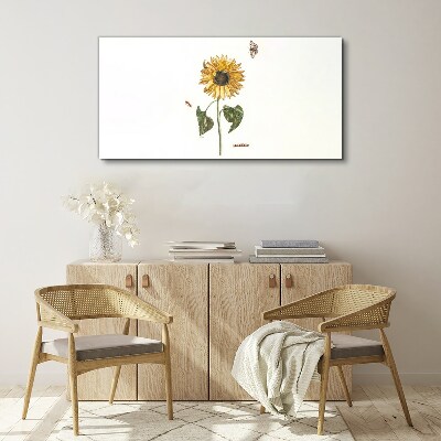 Tablou canvas Floarea soarelui intr-o compozitie delicata