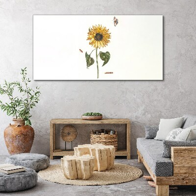 Tablou canvas Floarea soarelui intr-o compozitie delicata