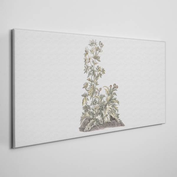 Tablou canvas Plante în lumină moale
