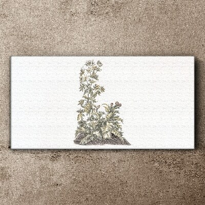Tablou canvas Plante în lumină moale