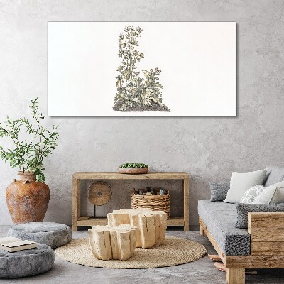 Tablou canvas Plante în lumină moale