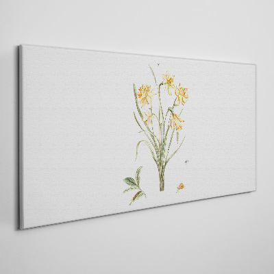 Tablou canvas Flori de narcise cu motiv natural