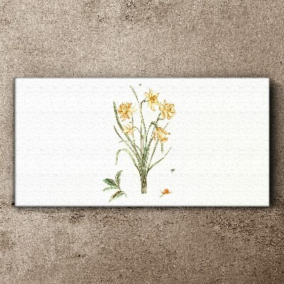 Tablou canvas Flori de narcise cu motiv natural