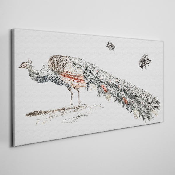 Tablou canvas Păun cu muște