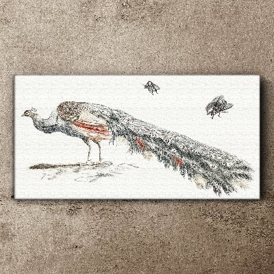 Tablou canvas Păun cu muște