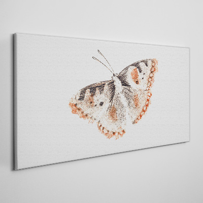 Tablou canvas Fluture pe fundal alb