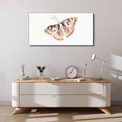 Tablou canvas Fluture pe fundal alb