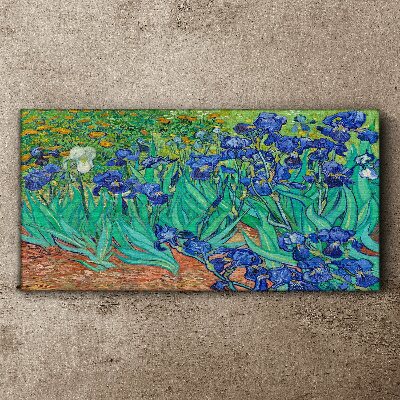 Tablou canvas Iris în floare