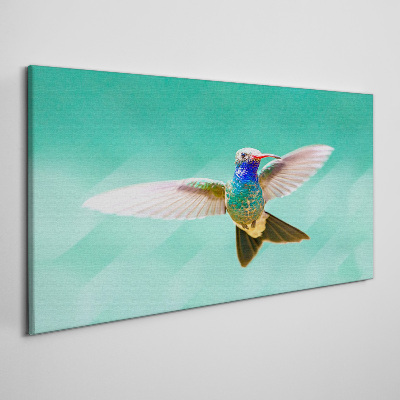 Tablou canvas Pasăre colibri pe fundal albastru
