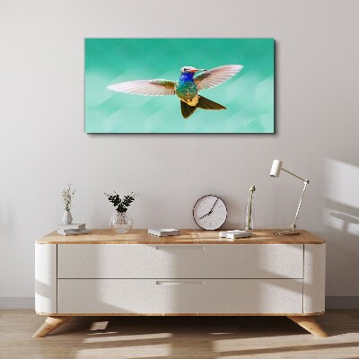 Tablou canvas Pasăre colibri pe fundal albastru