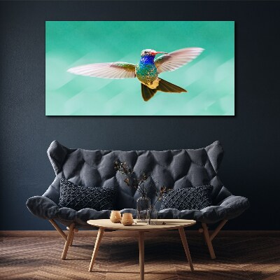 Tablou canvas Pasăre colibri pe fundal albastru