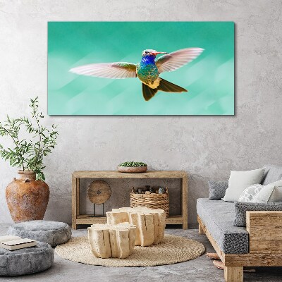 Tablou canvas Pasăre colibri pe fundal albastru