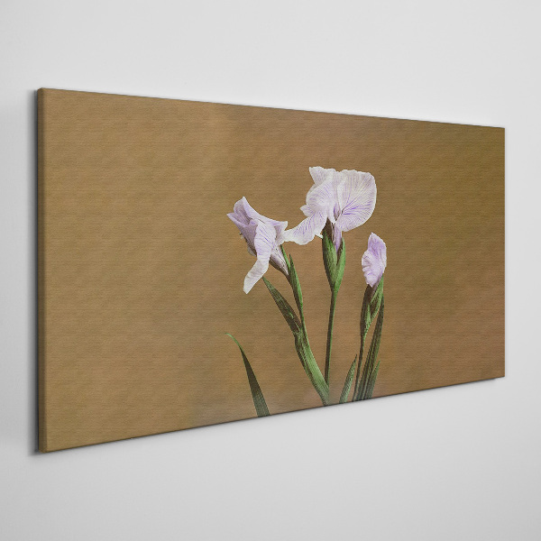 Tablou canvas Flori de iris pe fond maro