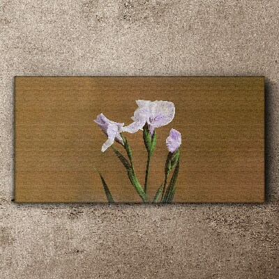 Tablou canvas Flori de iris pe fond maro