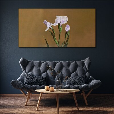Tablou canvas Flori de iris pe fond maro