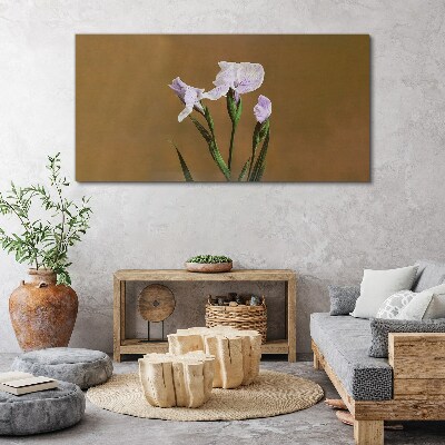 Tablou canvas Flori de iris pe fond maro