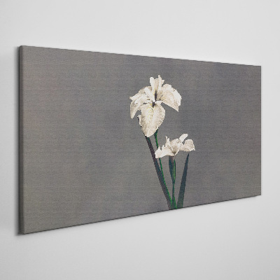 Tablou canvas Iris albi pe un fundal gri
