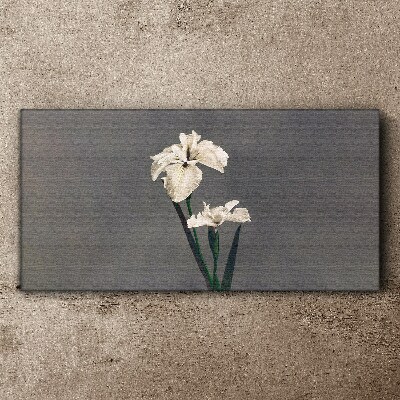 Tablou canvas Iris albi pe un fundal gri