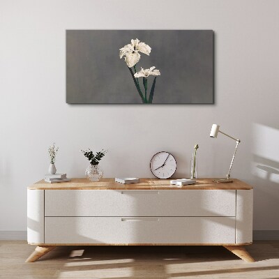 Tablou canvas Iris albi pe un fundal gri