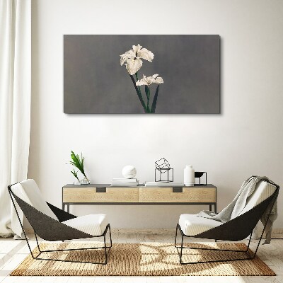 Tablou canvas Iris albi pe un fundal gri