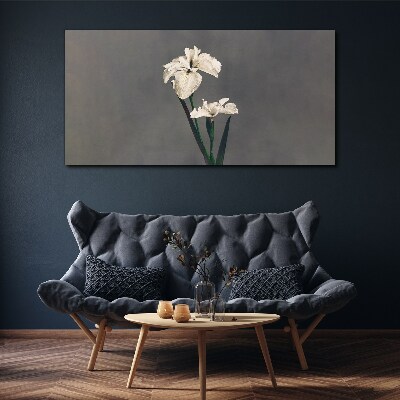 Tablou canvas Iris albi pe un fundal gri