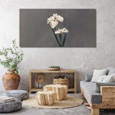 Tablou canvas Iris albi pe un fundal gri