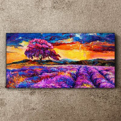 Tablou canvas Câmpuri de lavandă violet la apus