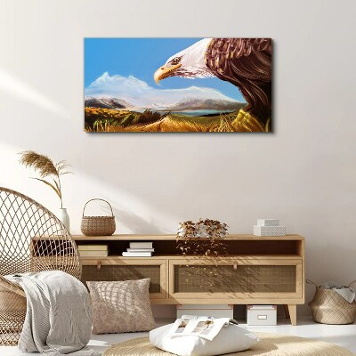 Tablou canvas Animal Pasăre Vultur Cerul