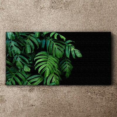Tablou canvas Frunze verzi pe fond negru