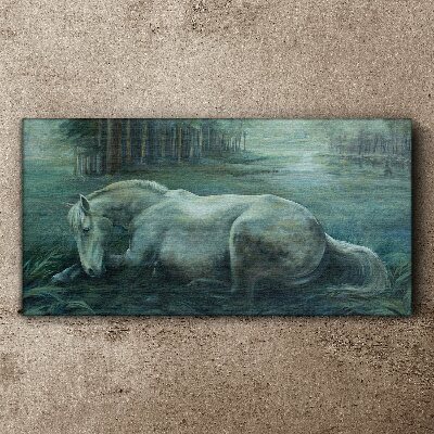 Tablou canvas Un cal calm într-un peisaj de pădure