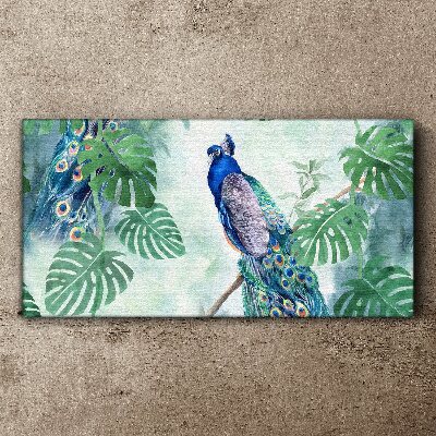 Tablou canvas Păun în jungla tropicală