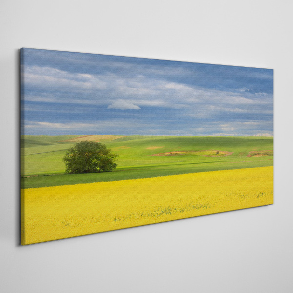 Tablou canvas Câmpuri galbene sub cerul albastru