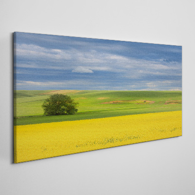 Tablou canvas Câmpuri galbene sub cerul albastru