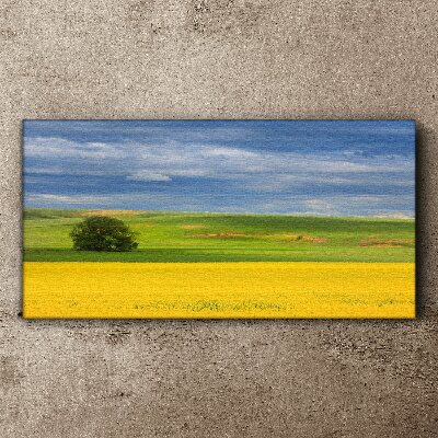 Tablou canvas Câmpuri galbene sub cerul albastru