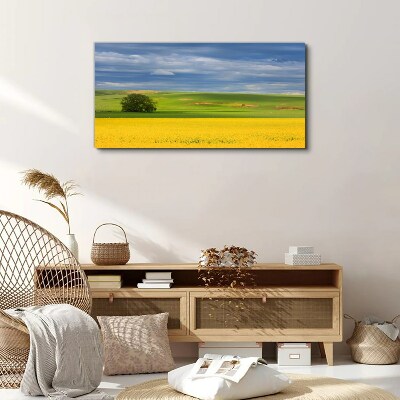 Tablou canvas Câmpuri galbene sub cerul albastru