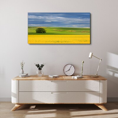 Tablou canvas Câmpuri galbene sub cerul albastru