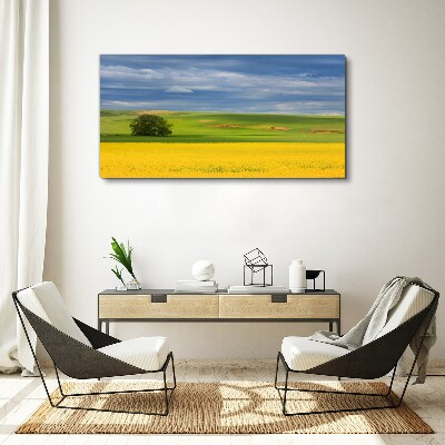 Tablou canvas Câmpuri galbene sub cerul albastru