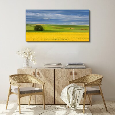 Tablou canvas Câmpuri galbene sub cerul albastru