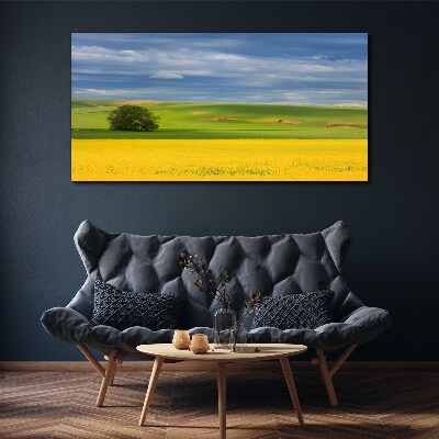 Tablou canvas Câmpuri galbene sub cerul albastru