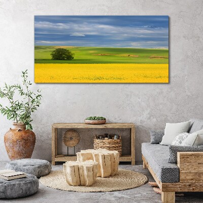 Tablou canvas Câmpuri galbene sub cerul albastru