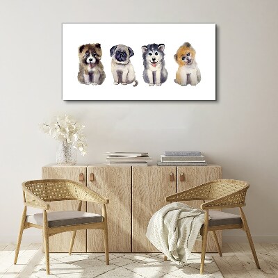 Tablou canvas Patru cățeluși adorabili