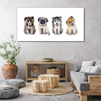 Tablou canvas Patru cățeluși adorabili
